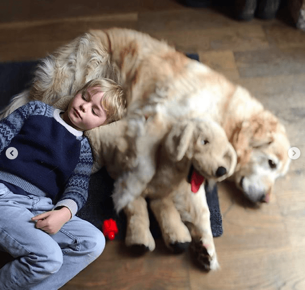 Patricia Paquin et Louis-Francois Marcotte ont dit adieu à leur chien des 11 dernières années