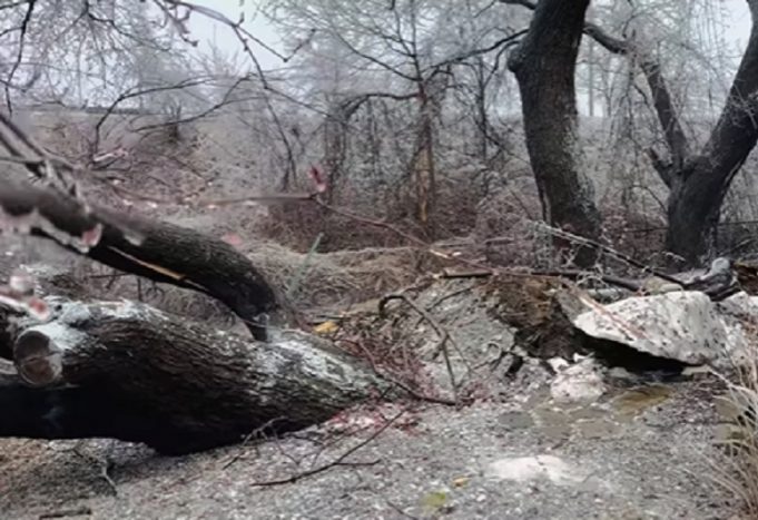 Josélito Michaud sort et montre tous les dégâts du verglas à sa maison
