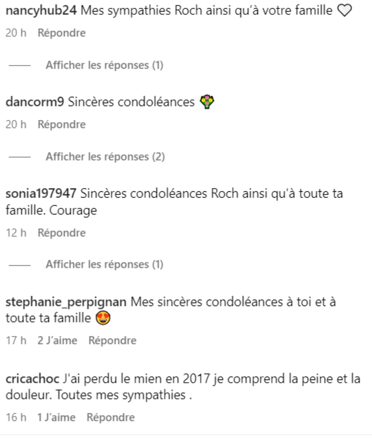 Commentaires publication Roch Voisine