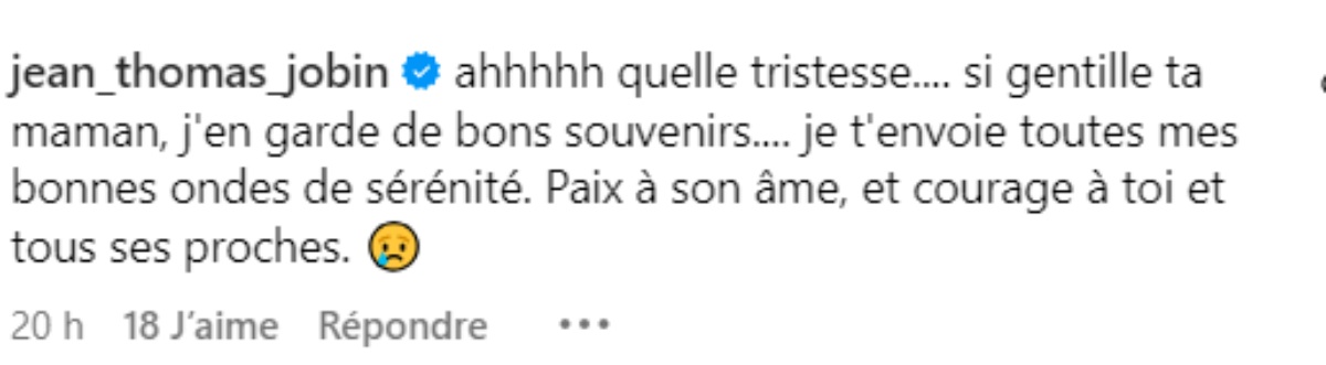 commentaire Isabelle Desjardins