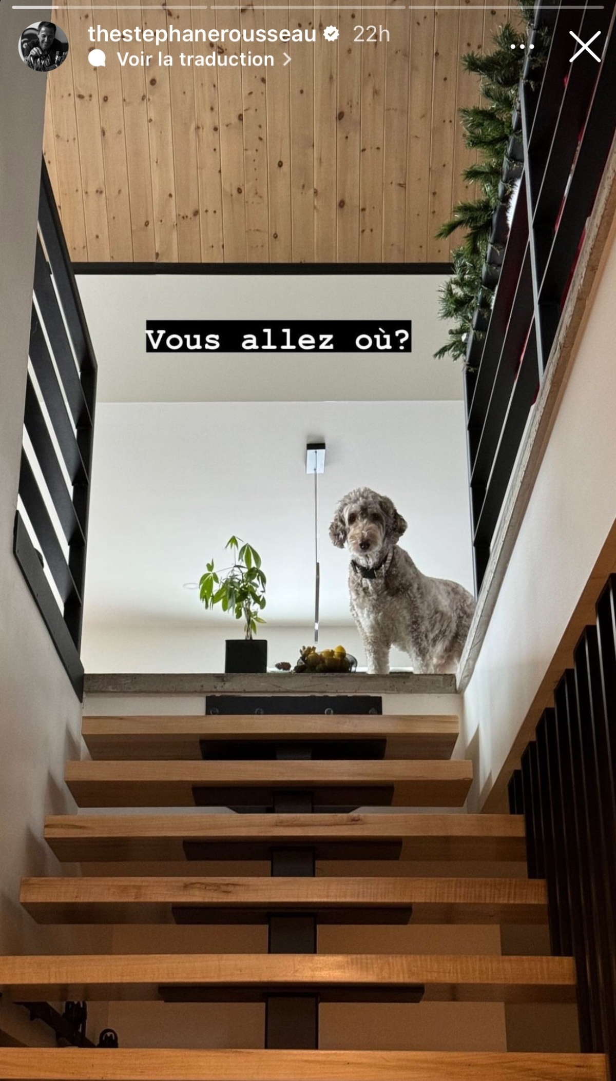 Stéphane Rousseau chien Noel 2023