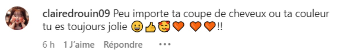 commentaire vanessa pilon