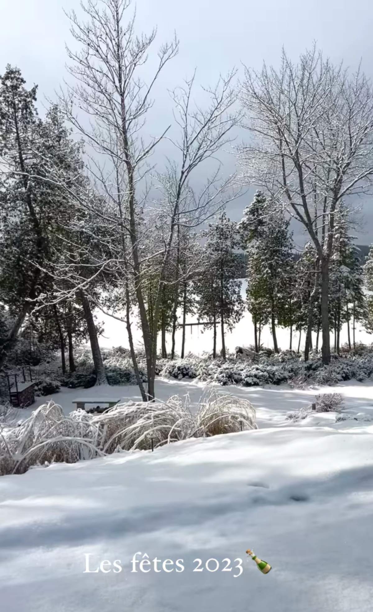 Virginie Coossa fêtes 2023 paysage d'hiver