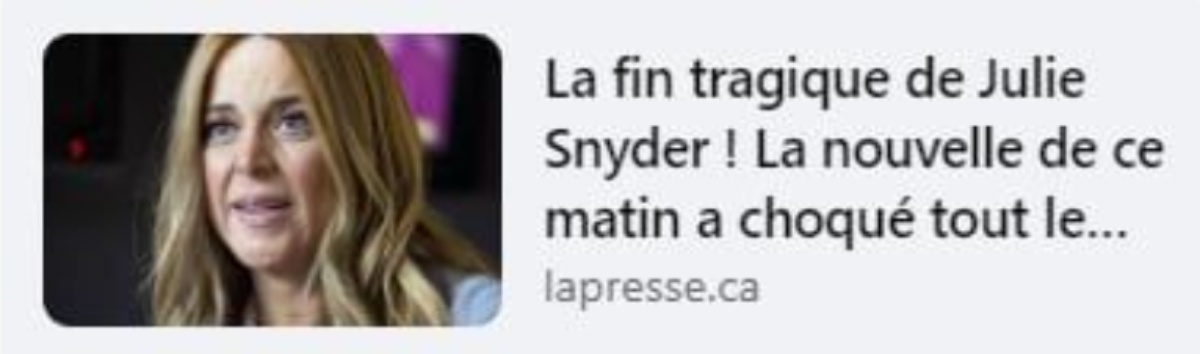 Julie Snyder fausse nouvelle