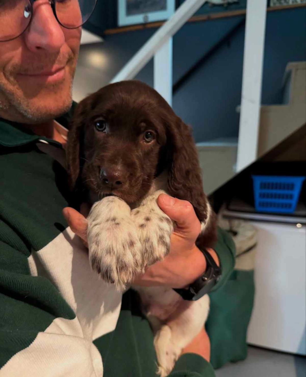 Eric Paulhus Indefendable Chiot