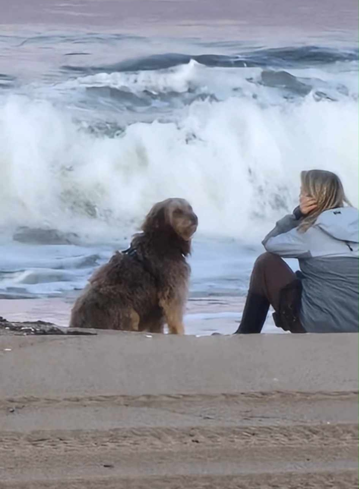 Julie Belanger Voyage Mai Chien