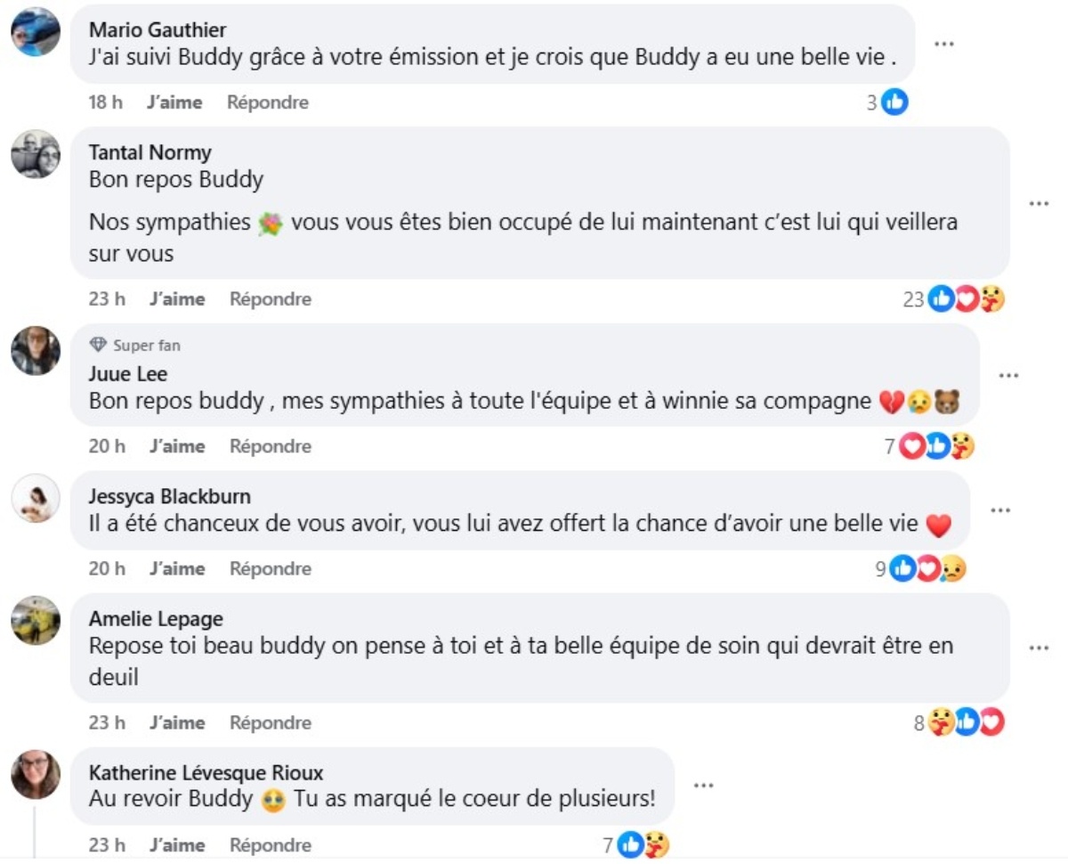 Buddy Commentaires Deces Zoo Miller