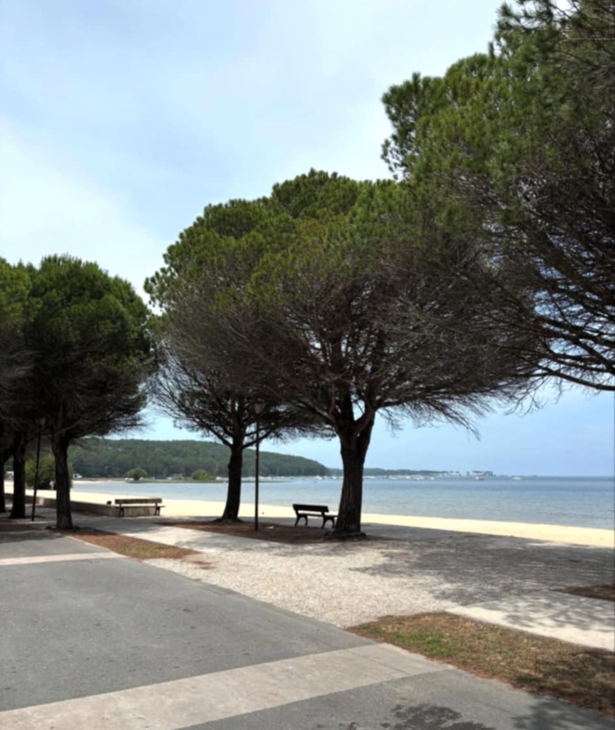 Voyage Theo Beaudoin Graton Arbres