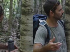 Guillaume Lemay-Thivierge retourne sur les lieux de l’arbre et ça ne passe pas inaperçu