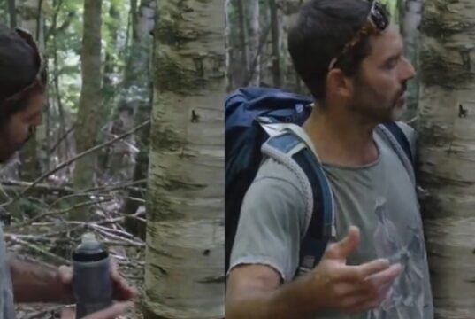 Guillaume Lemay-Thivierge retourne sur les lieux de l’arbre et ça ne passe pas inaperçu